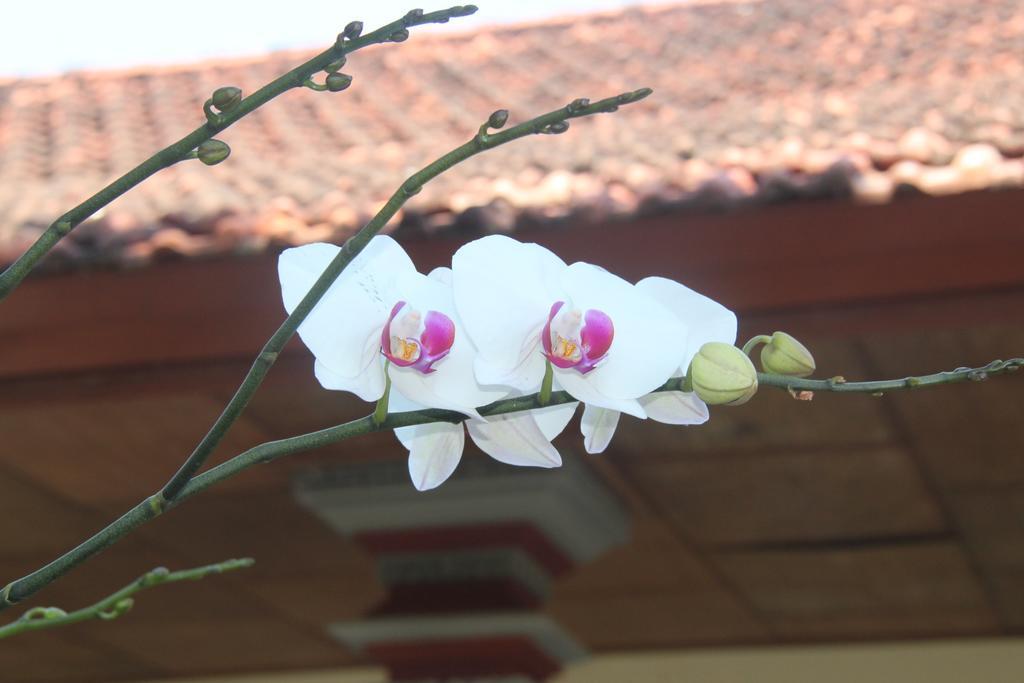 Pondok Hasan Nusa Dua  Esterno foto